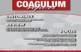 Coagulum Report - marzo 2016