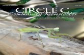 Circle C Ranch - June 2016