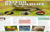 Defend BC's Wildlife