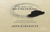 Adyashanti de weg van bevrijding