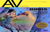 AV Magazine Issue 1, 2016