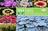 2017 Hot New Perennials by EHR