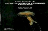 Guia ilustrada de animales marinos venenosos de mexico y el caribe