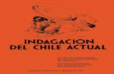Indagación del Chile Actual