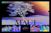 Meet Hawaii Maui 2016
