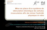 Présentation Mémoire Labo M2S UR2 M1MSS (2016)