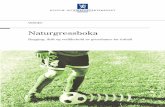 Naturgress. Bygging, drift og vedlikehold av gressbaner for fotball