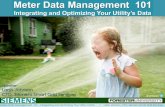 Meter Data Management 101 Integrating and Optimizing Your