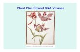 Plant Plus Strand RNA Viruses - Rutgers