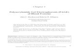 Chapter 2 Polyacrylamide Gel Electrophoresis (PAGE) of Blood ...