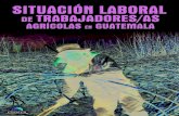 Situación laboral de trabajadores/as agrícolas en Guatemala