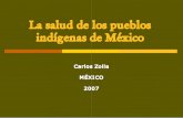 La salud de los pueblos indígenas de México a salud de los ...