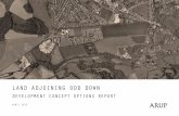 Land adjoining Odd Down (14.5 MB)