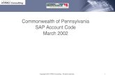 SAP Account Code Presentation