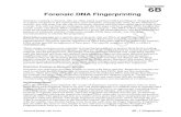 6B - Forensic DNA Fingerprinting