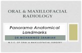 6-Panorama Anatomical landmarks.pdf