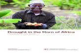 Drought in the Horn of Africa - IFRC