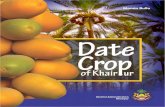 Dates Crop Khairpur