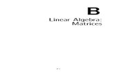 B Linear Algebra: Matrices