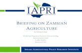 BRIEFING ON ZAMBIAN AGRICULTURE