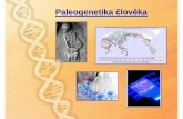 Paleogenetika člověka