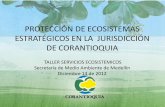 Proteccion de ecosistemas estrategicos en la jurisdiccion de ...