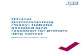 Clinical Commissioning Policy: Robotic assisted lung resection for ...