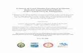 A Survey of Coral Disease Prevalence in Marine Protected Areas ...