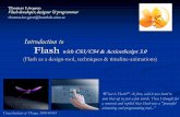 Flash with CS3/CS4 & ActionScript 3