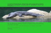 Crocodile Rehabilitation, Observance and Conservation (CROC ...