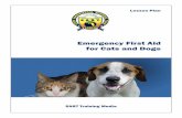 Emergency First Aid for Cats and Dogs