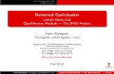 Numerical Optimization - Lecture Notes #18 Quasi-Newton Methods