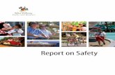 Report on Safety