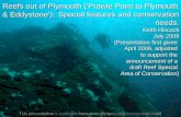 Prawle Point to Plymouth & Eddystone