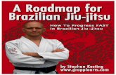 A Roadmap for Brazilian Jiu-jitsu