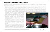 Div. Clinical Services