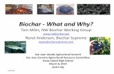 Biochar What and Why? Tom Miles, NW Biochar Working Group ...