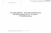 Cellulitis Ambulatory Emergency Care Pathway
