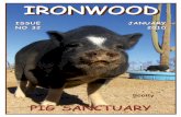 Ironwood Pig Sanctuary