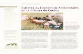 Estrategias Económico-Ambientales en la Crianza de Cerdos