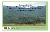 IJ-REDD+ Project