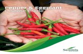 Pepper & Eggplant Disease Guide