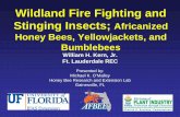Wildland Fire Fighting and Stinging Insects; Africanized Honey Bees ...