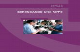GERENCIANDO UNA PYME.pdf