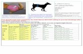 Parksbird Patterns Instructions for: Dog Diaper in 6 sizes XXS-XL ...