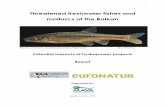 Threatened freshwater fishes and molluscs of the Balkan, potential