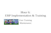 Chapter 7: ERP Implementation & Training