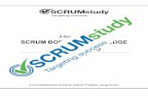 A Guide to the SCRUM BODY OF KNOWLEDGE (SBOK™ Guide)