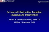 A Case of Obstructive Jaundice: Imaging and Intervention