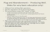 Plug and Abandonment – Producing Well. Slides for very basic ...